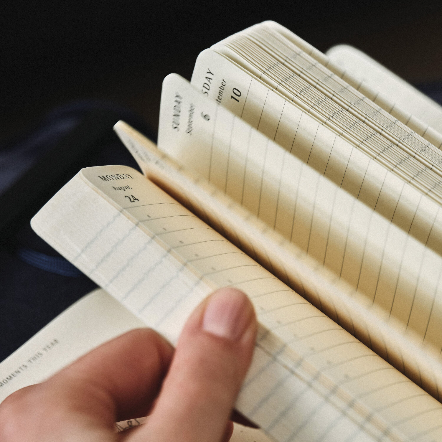 クラシック ダイアリー 2026 ラージ デイリー、ソフトカバー、12ヶ月